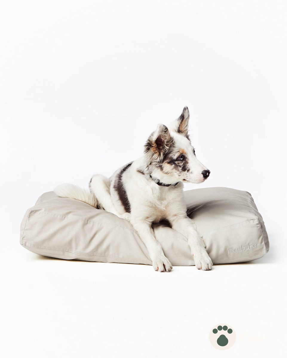 Bed Cover - Image 4