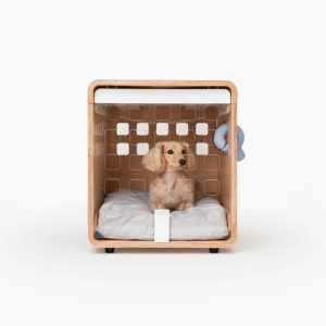 PET-BED-04-1 Crate