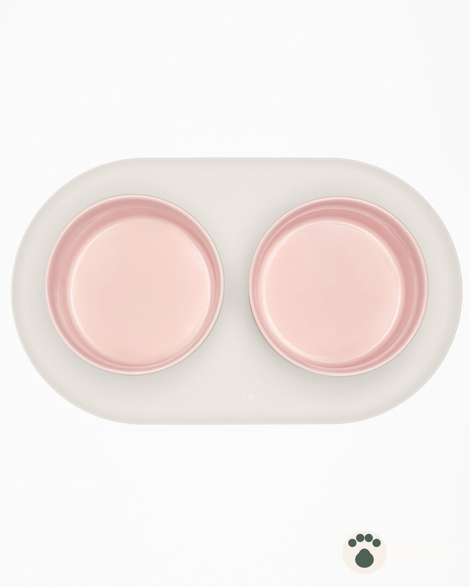 Bowls & Feeders