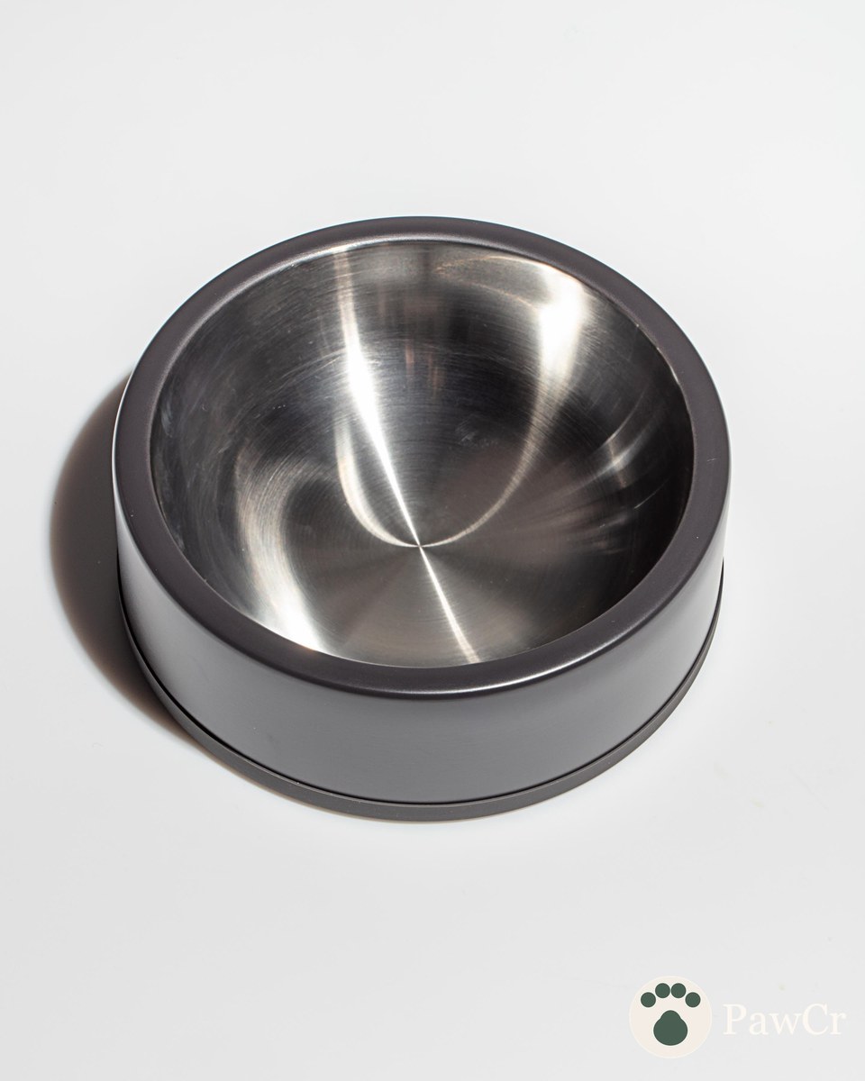 Dog Bowl