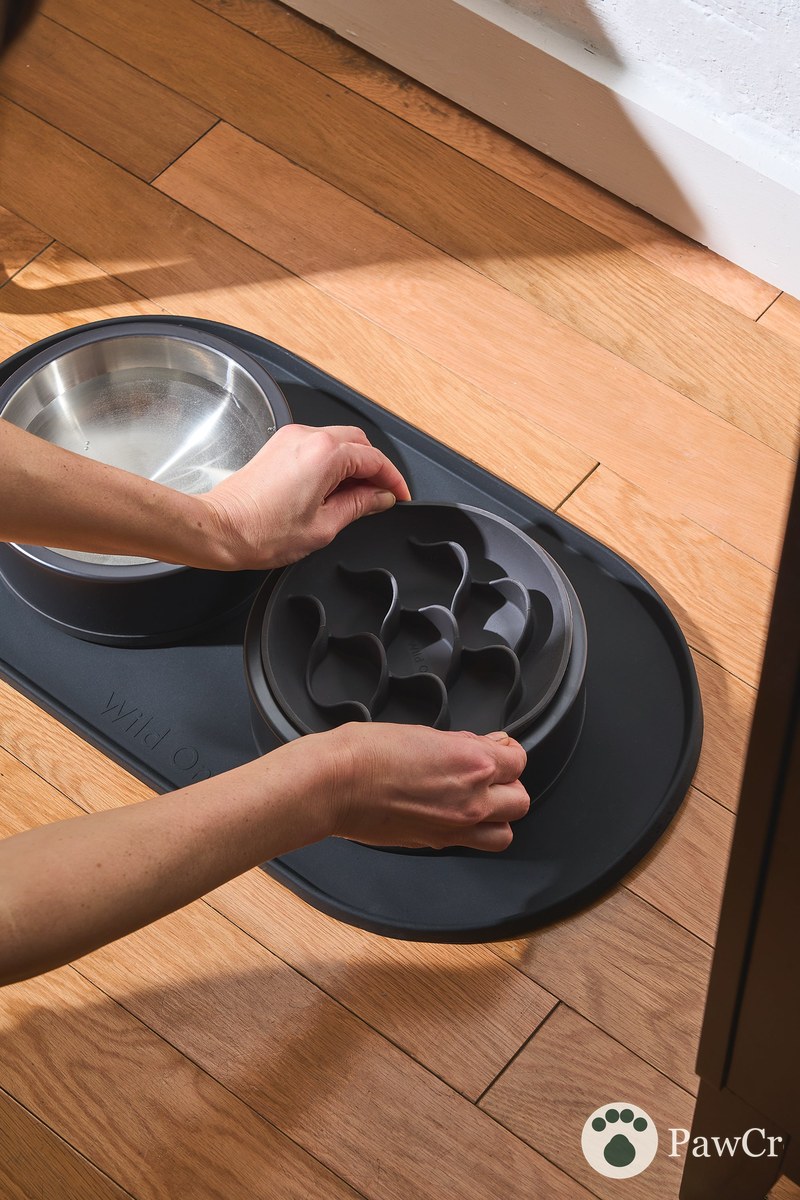 Dog Slow Feeder - Image 2