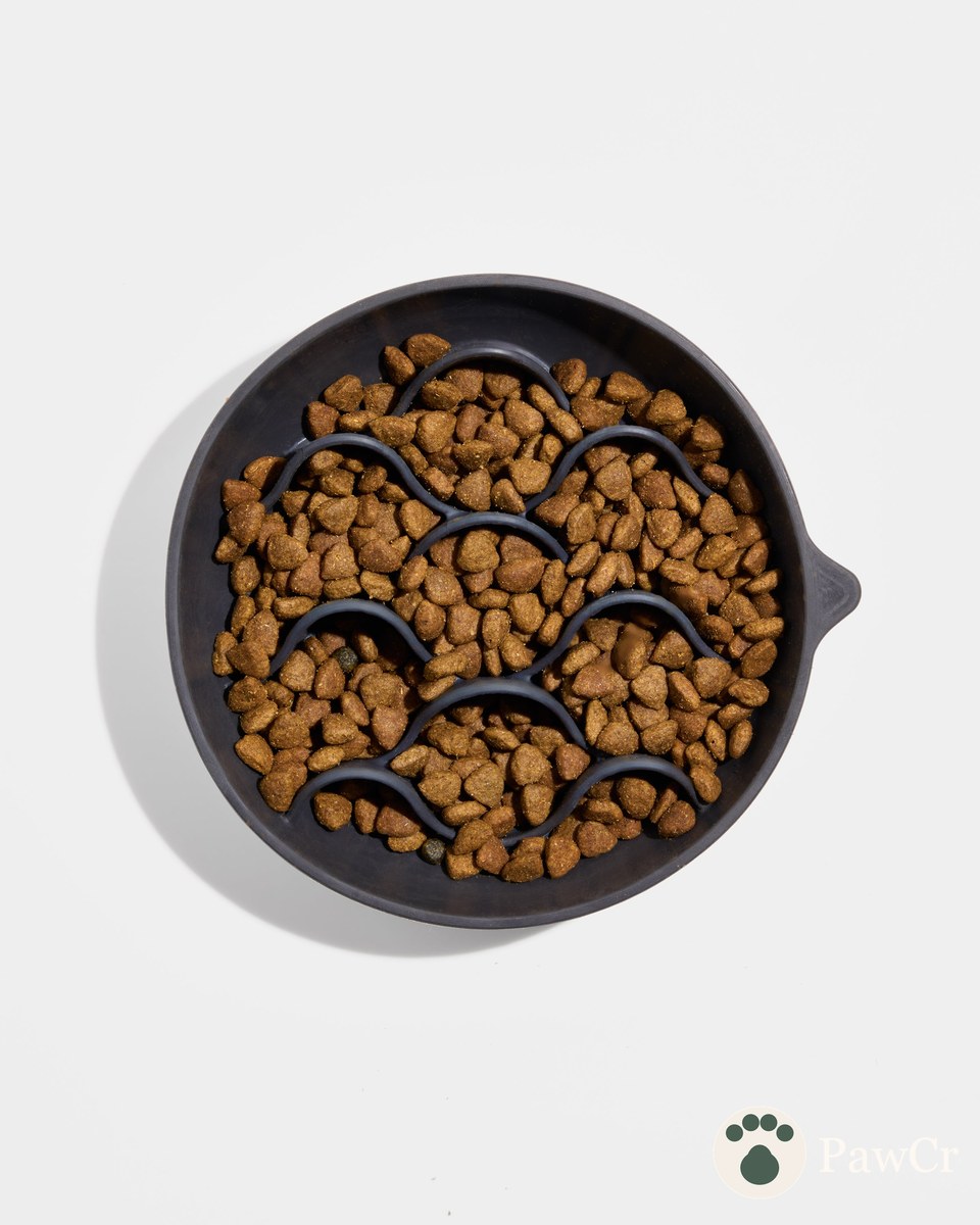 Dog Slow Feeder - Image 4