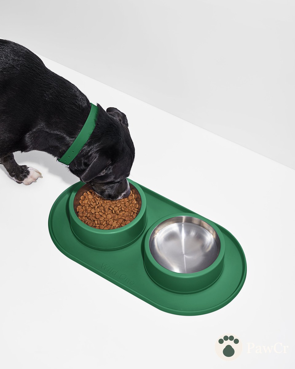 Mealtime Kit
