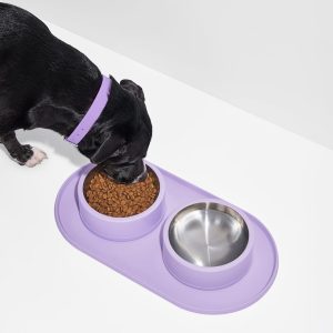 PET-BWL-08-1 Personalized Mealtime Kit