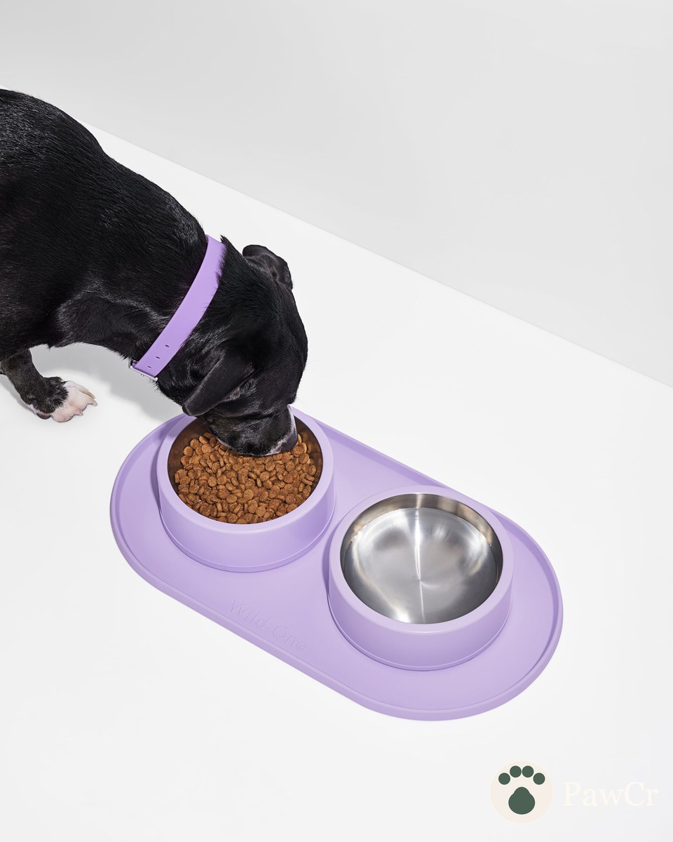 Personalized Mealtime Kit