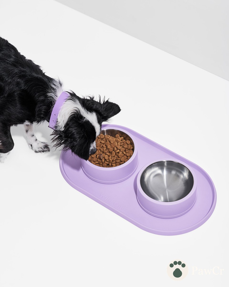 Personalized Mealtime Kit - Image 3