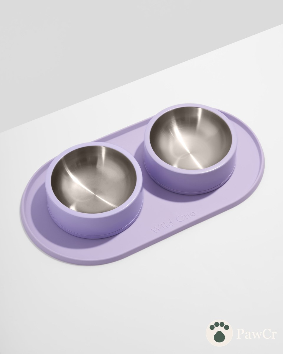 Personalized Mealtime Kit - Image 4