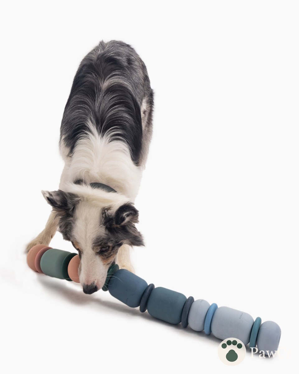 Bully Stick Set - Image 3