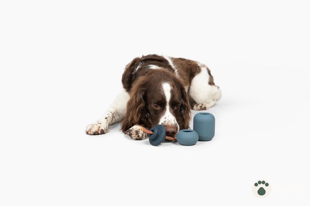 Bully Stick Set - Image 4