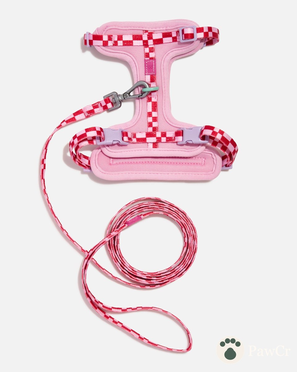 Cat Harness & Leash