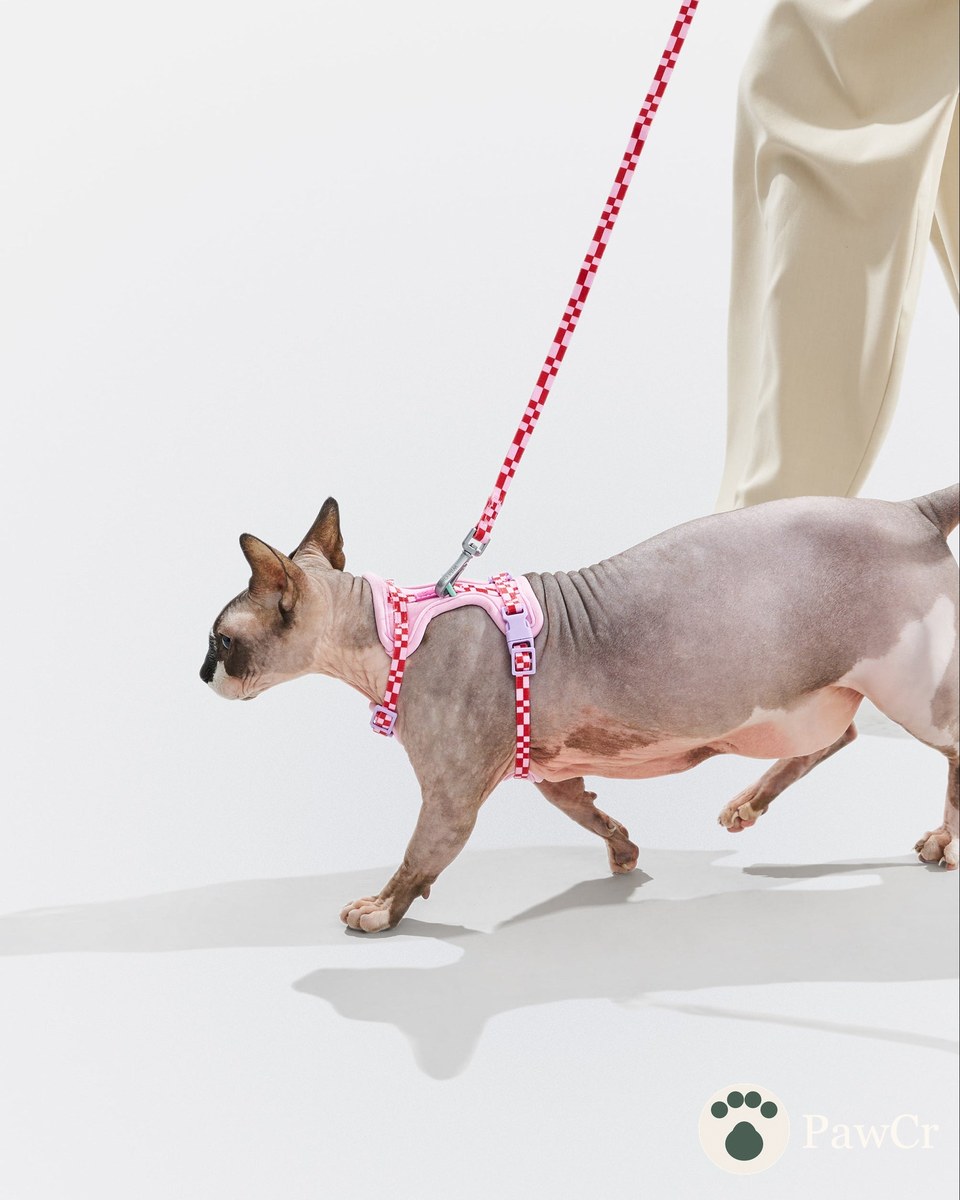 Cat Harness & Leash - Image 2
