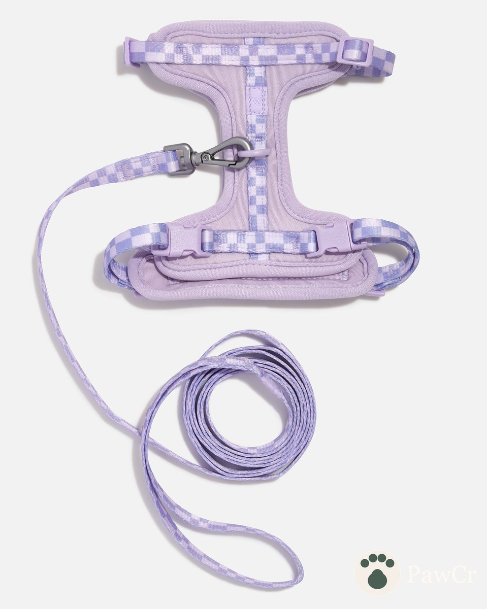 Cat Harness & Leash - Image 3