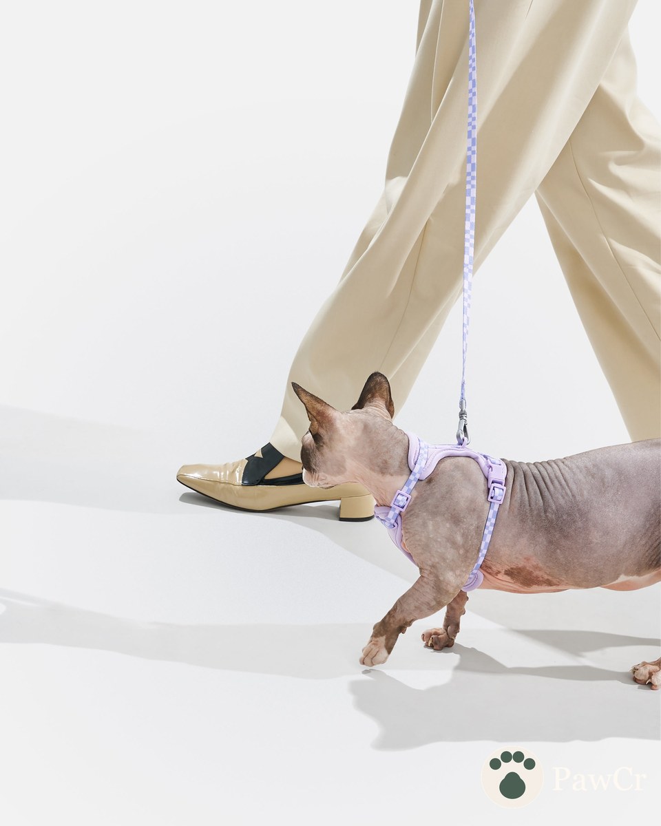Cat Harness & Leash - Image 4