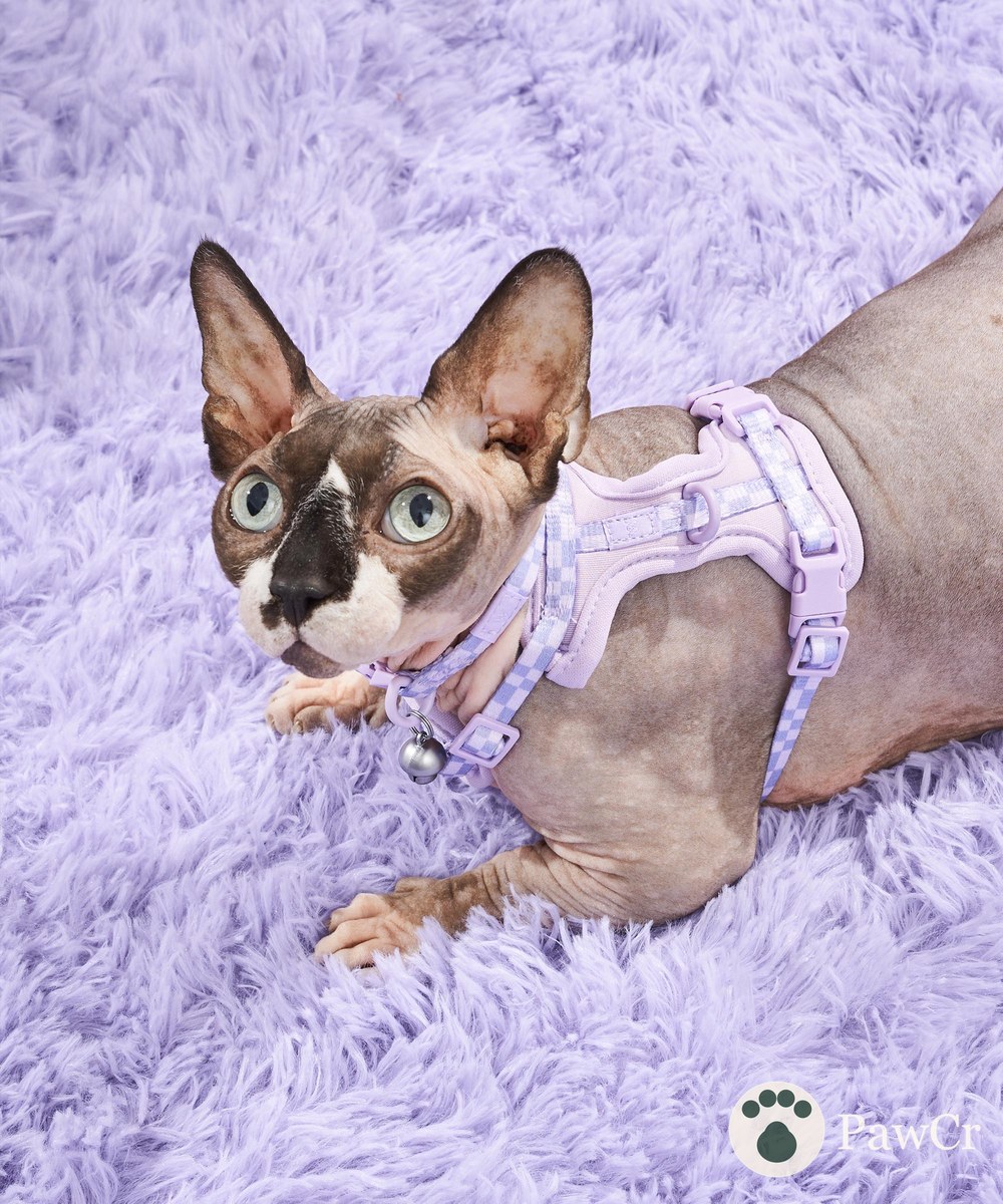 Cat Harness & Leash + Collar Kit - Image 2