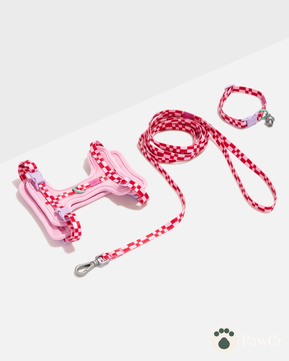 Cat Harness & Leash + Collar Kit - Image 3