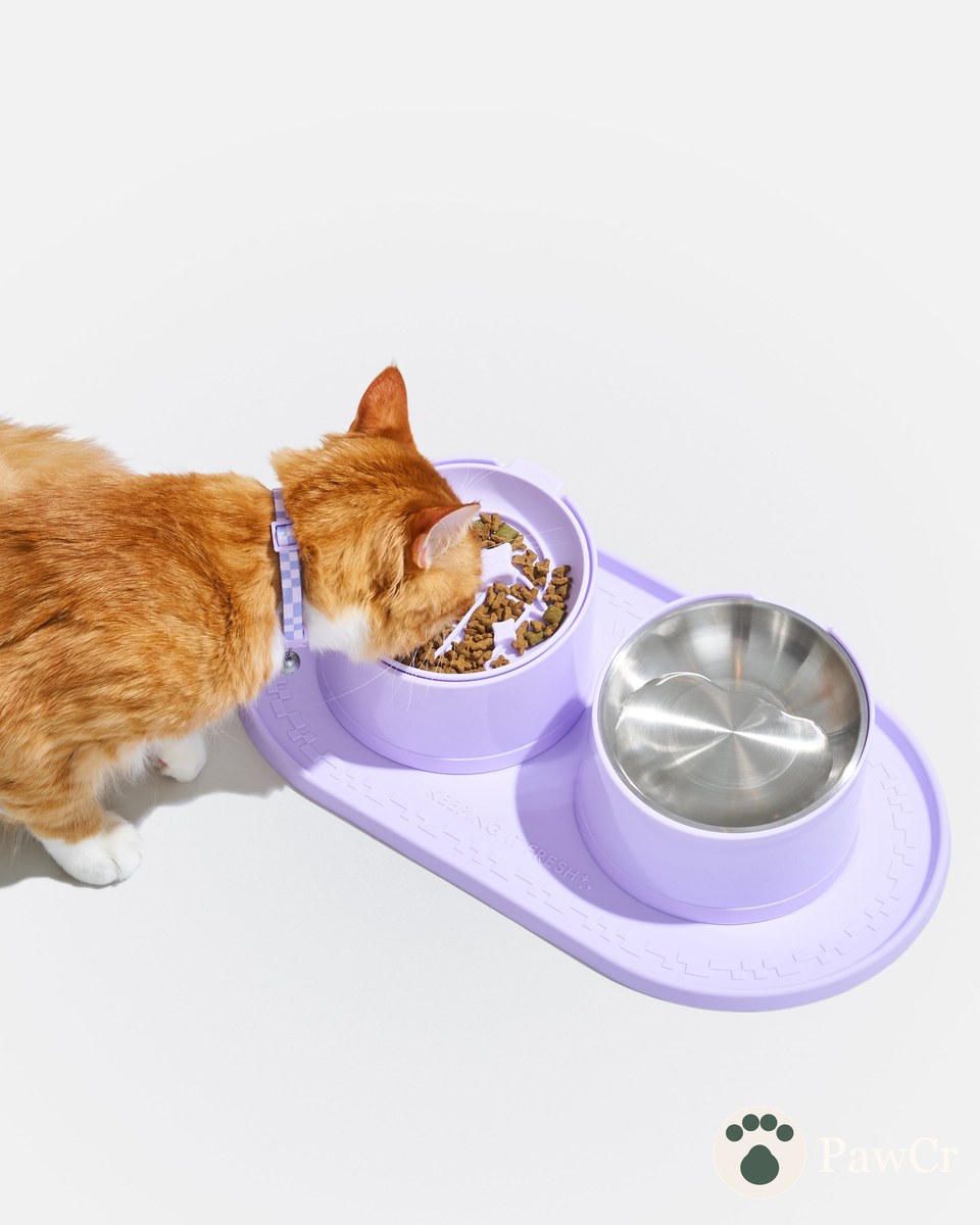 Cat Placemat - Image 4