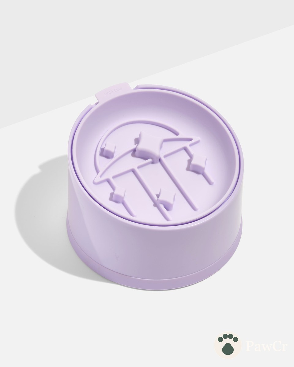 Cat Slow Feeder