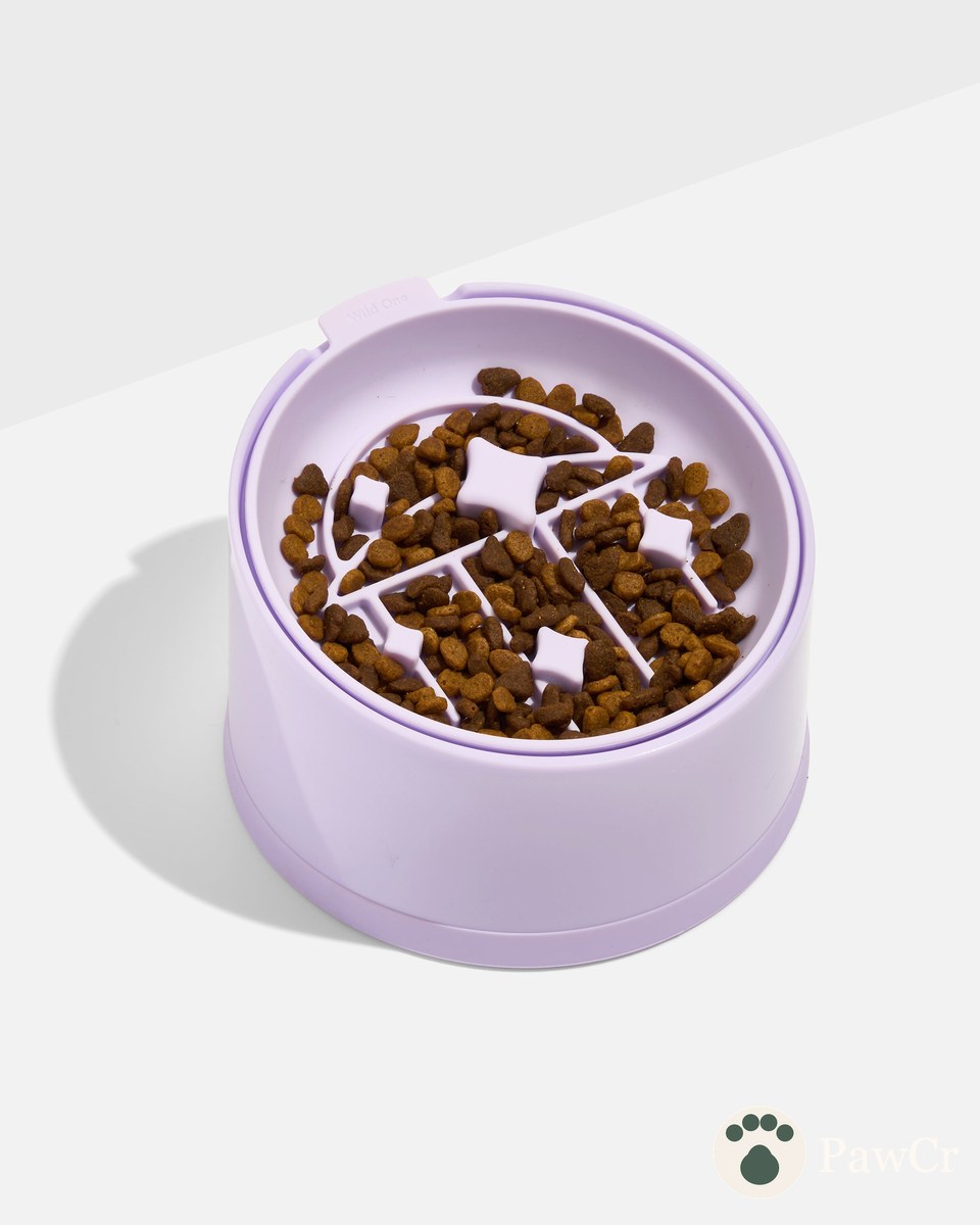 Cat Slow Feeder - Image 2