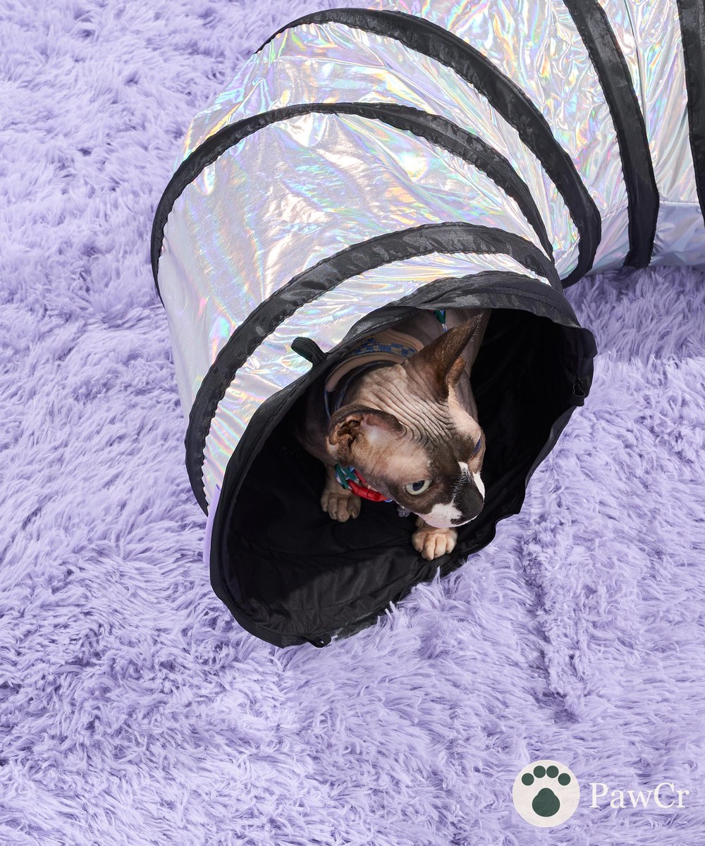 Cat Tunnel - Image 2