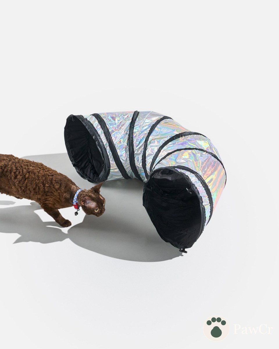 Cat Tunnel - Image 3