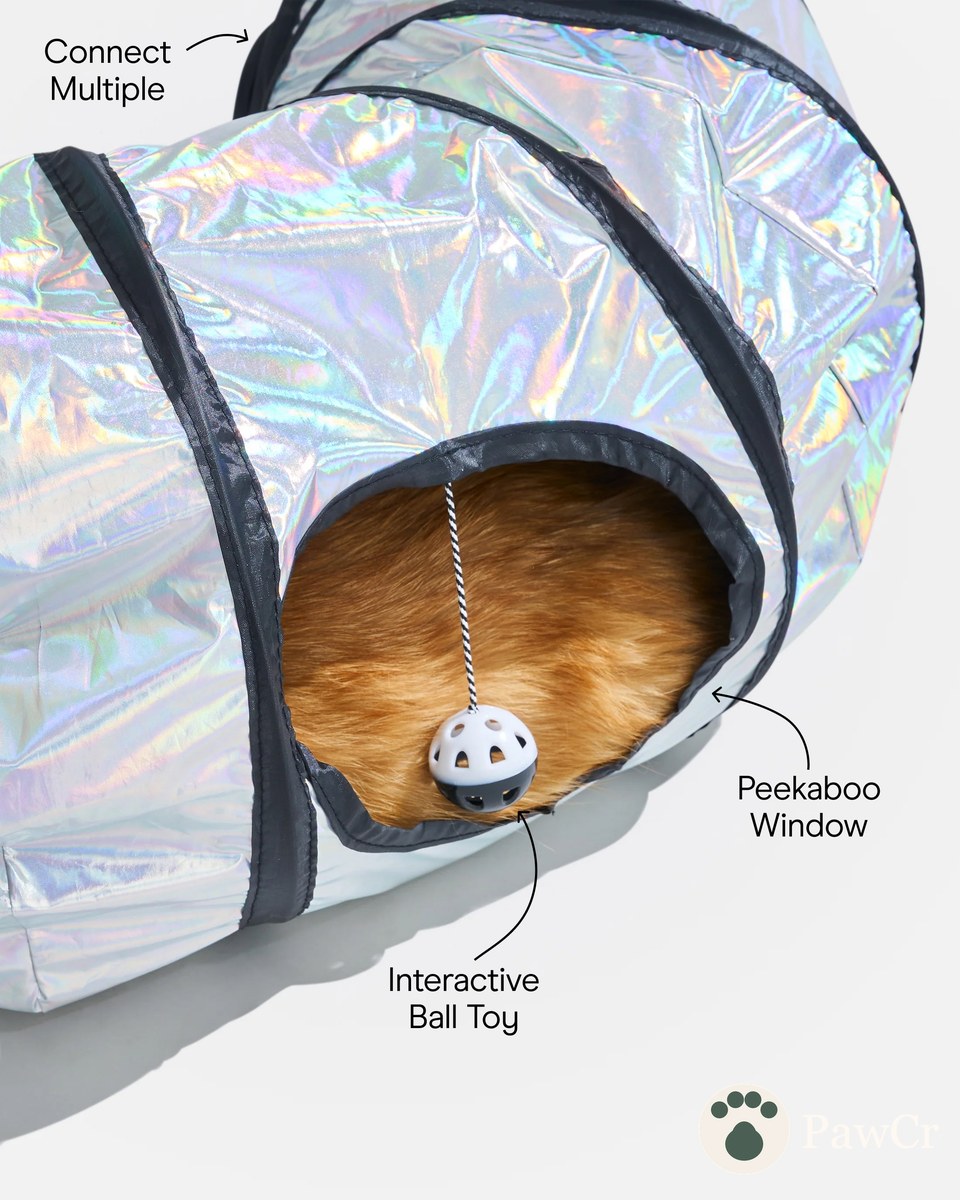 Cat Tunnel - Image 4