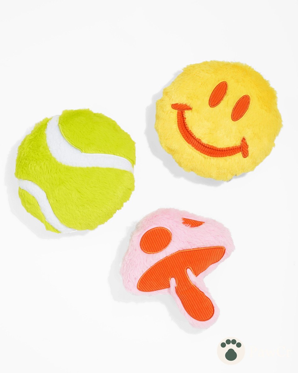 Play & Toys