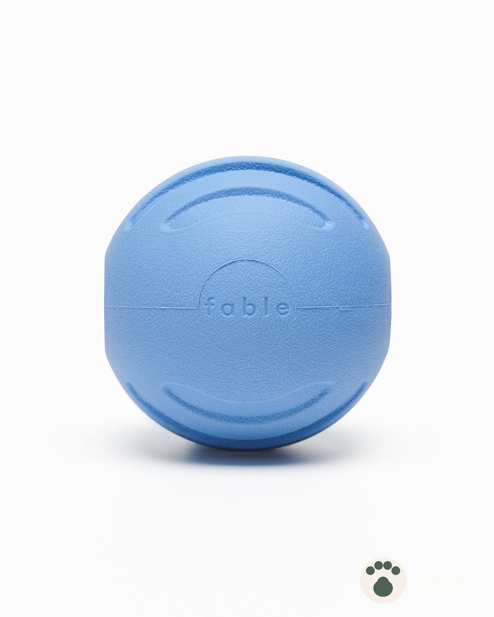 Signature Ball - Image 2