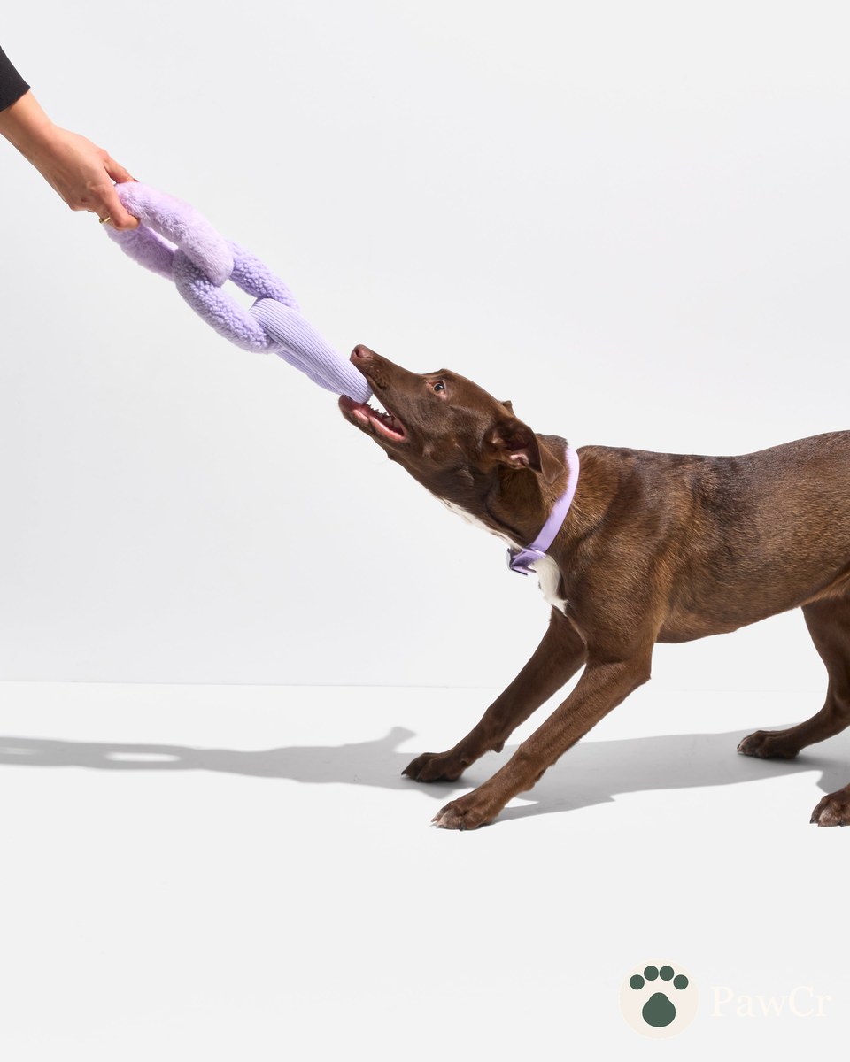 Chew Chain - Image 3