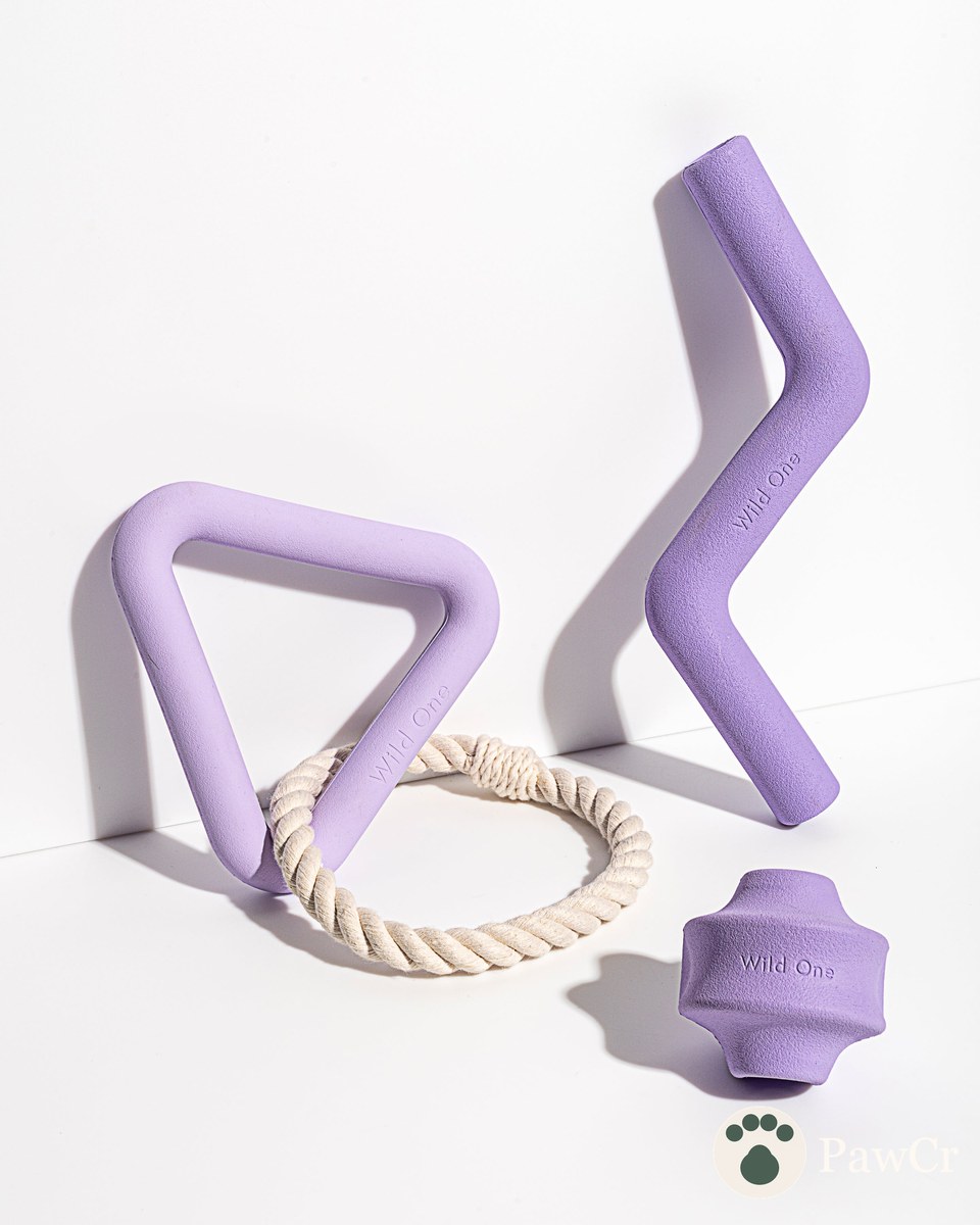 Dog Toy Kit