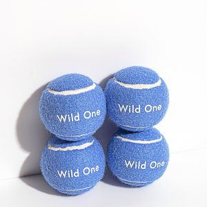 PET-PLY-09-1 Tennis Balls 4-Pack