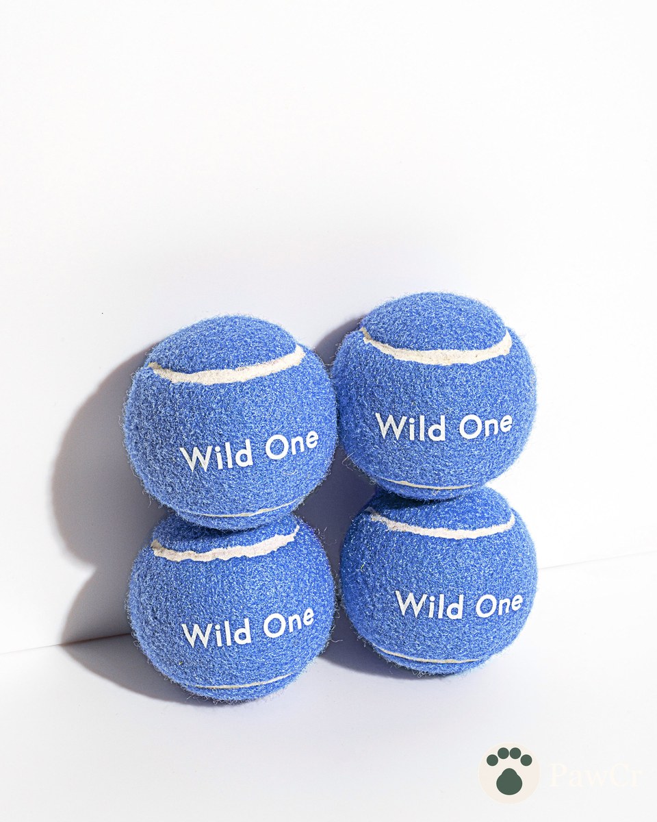 Tennis Balls 4-Pack
