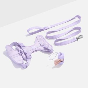 PET-WLK-02-1 Cushioned Harness + Lightweight Leash Walk Kit