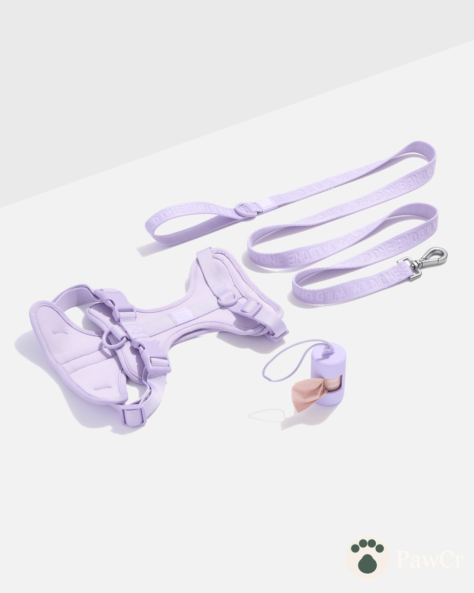 Cushioned Harness + Lightweight Leash Walk Kit