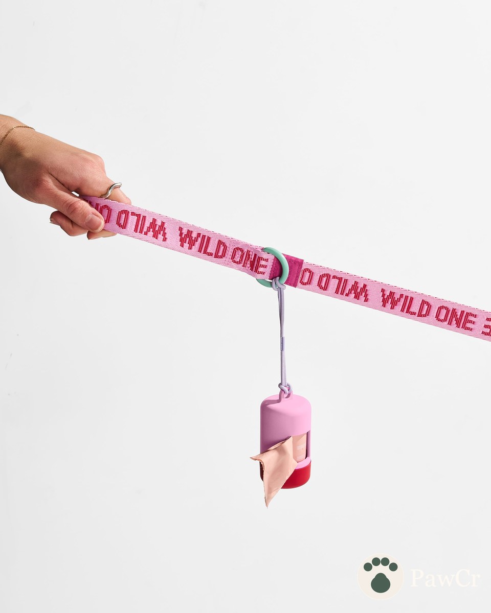 Cushioned Harness + Lightweight Leash Walk Kit - Image 4