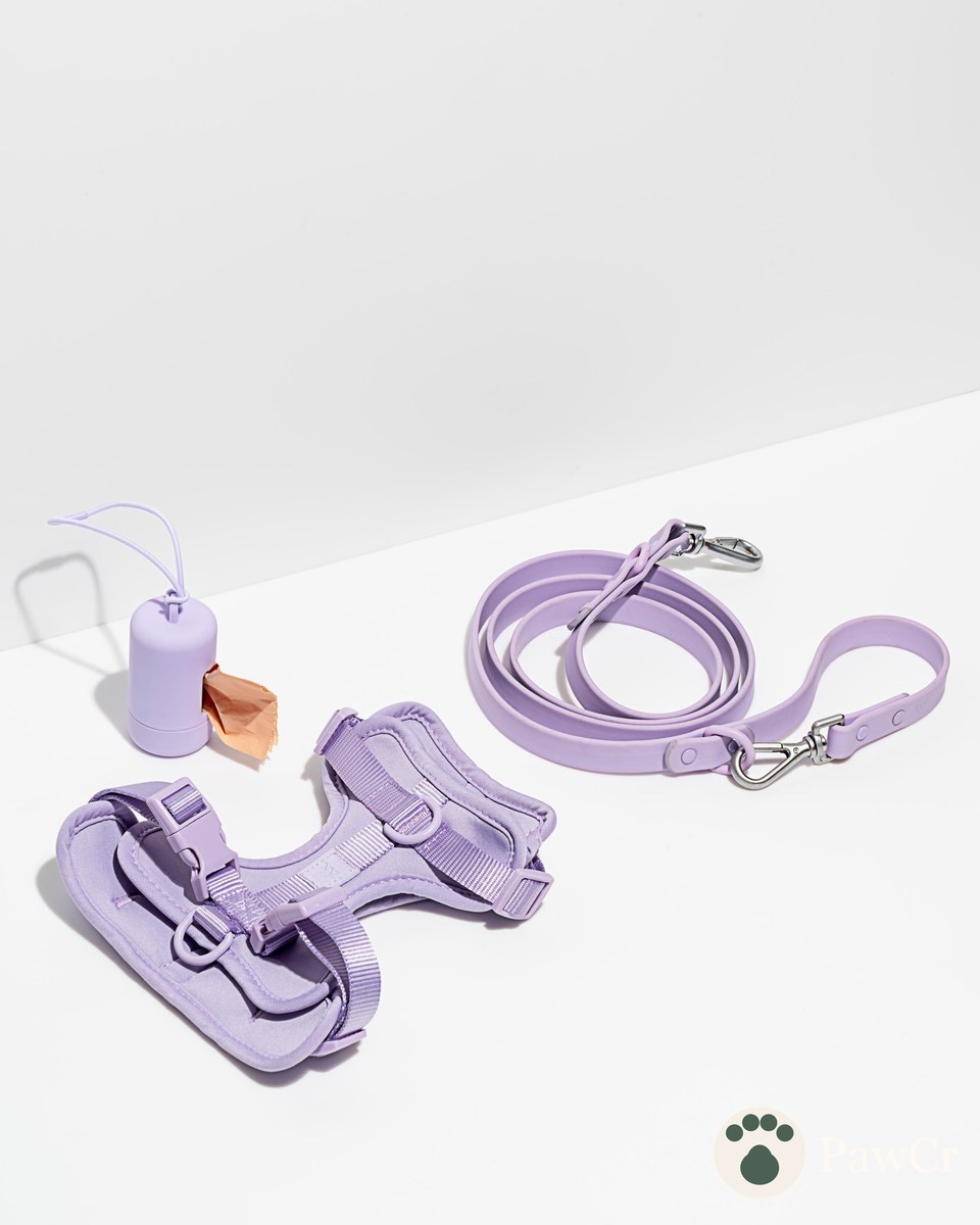 Cushioned Harness + Waterproof Leash Walk Kit - Image 2