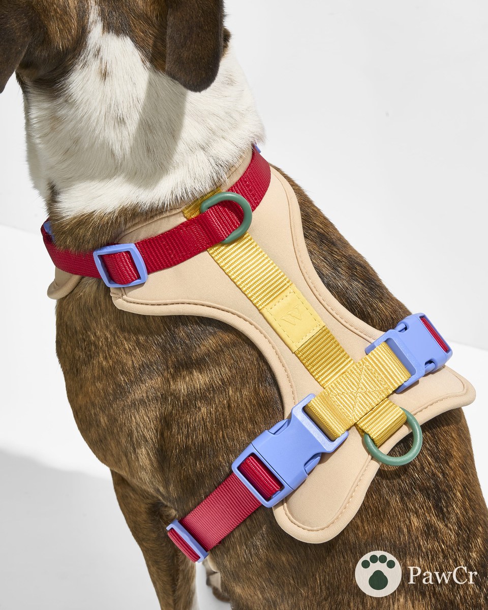 Cushioned Harness + Waterproof Leash Walk Kit - Image 3