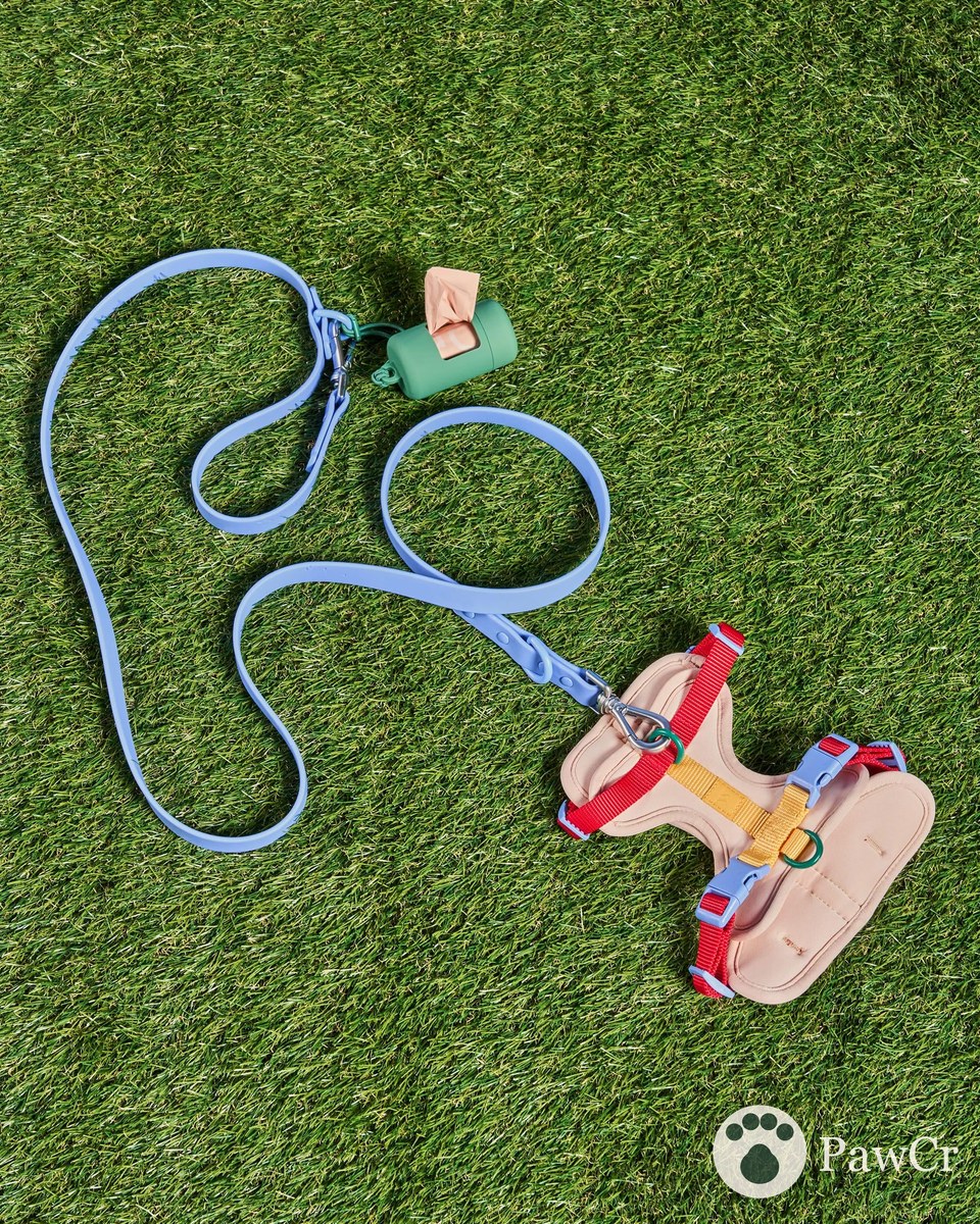 Cushioned Harness + Waterproof Leash Walk Kit - Image 4