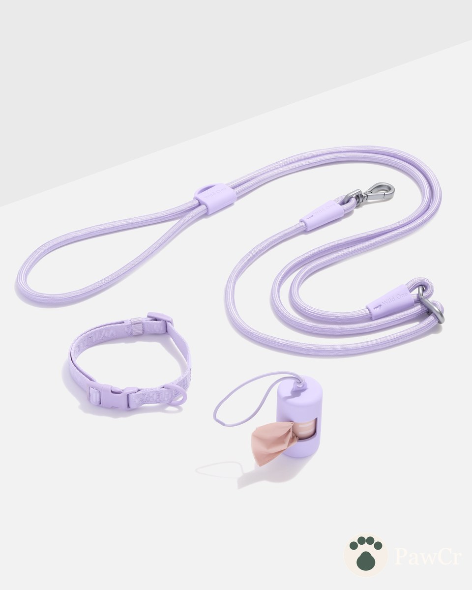 Quick-Release Collar + Hands-Free Rope Leash Walk Kit