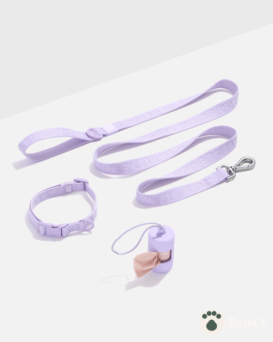 Quick-Release Collar + Lightweight Leash Walk Kit