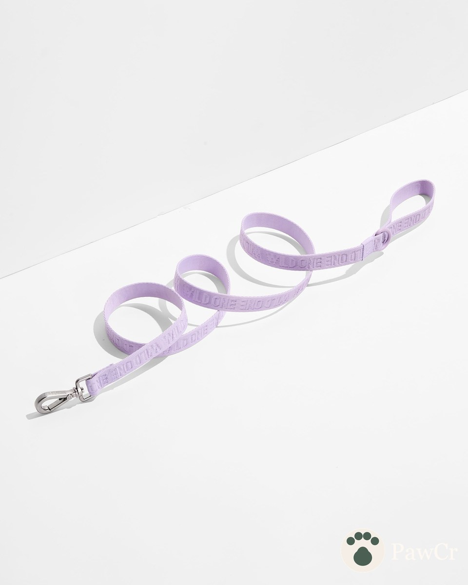 Quick-Release Collar + Lightweight Leash Walk Kit - Image 3