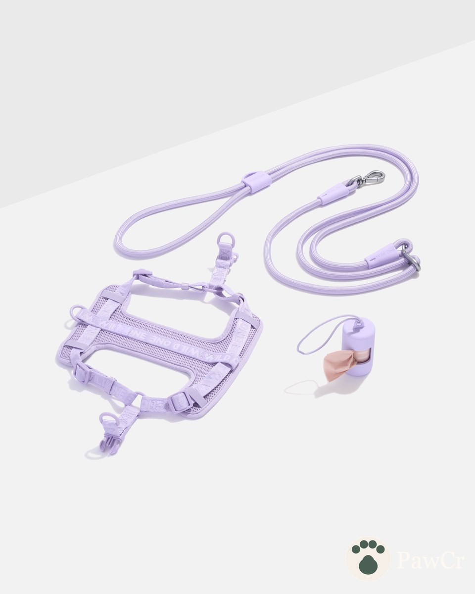 Step-In Harness + Hands-Free Rope Leash Walk Kit