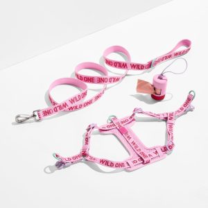 PET-WLK-08-1 Step-In Harness + Lightweight Leash Walk Kit