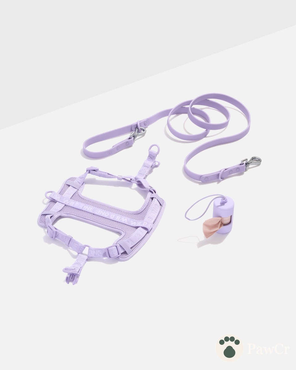 Step-In Harness + Waterproof Leash Walk Kit