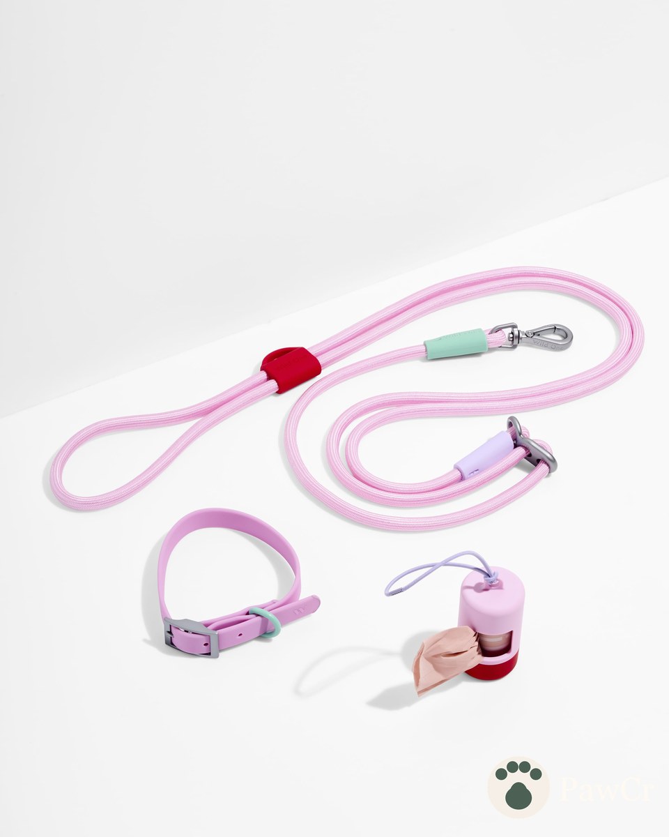 Waterproof Collar + Hands-Free Rope Leash Walk Kit
