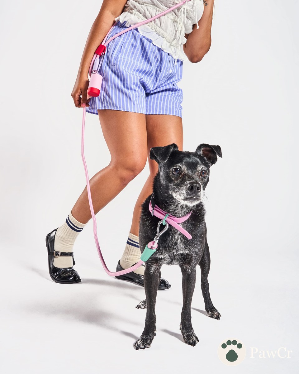Waterproof Collar + Hands-Free Rope Leash Walk Kit - Image 2