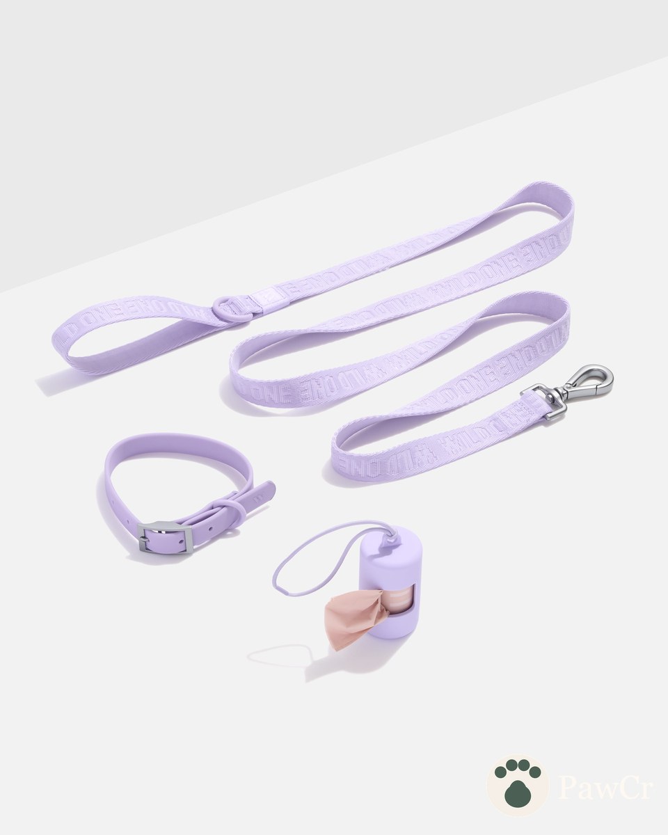 Waterproof Collar + Lightweight Leash Walk Kit