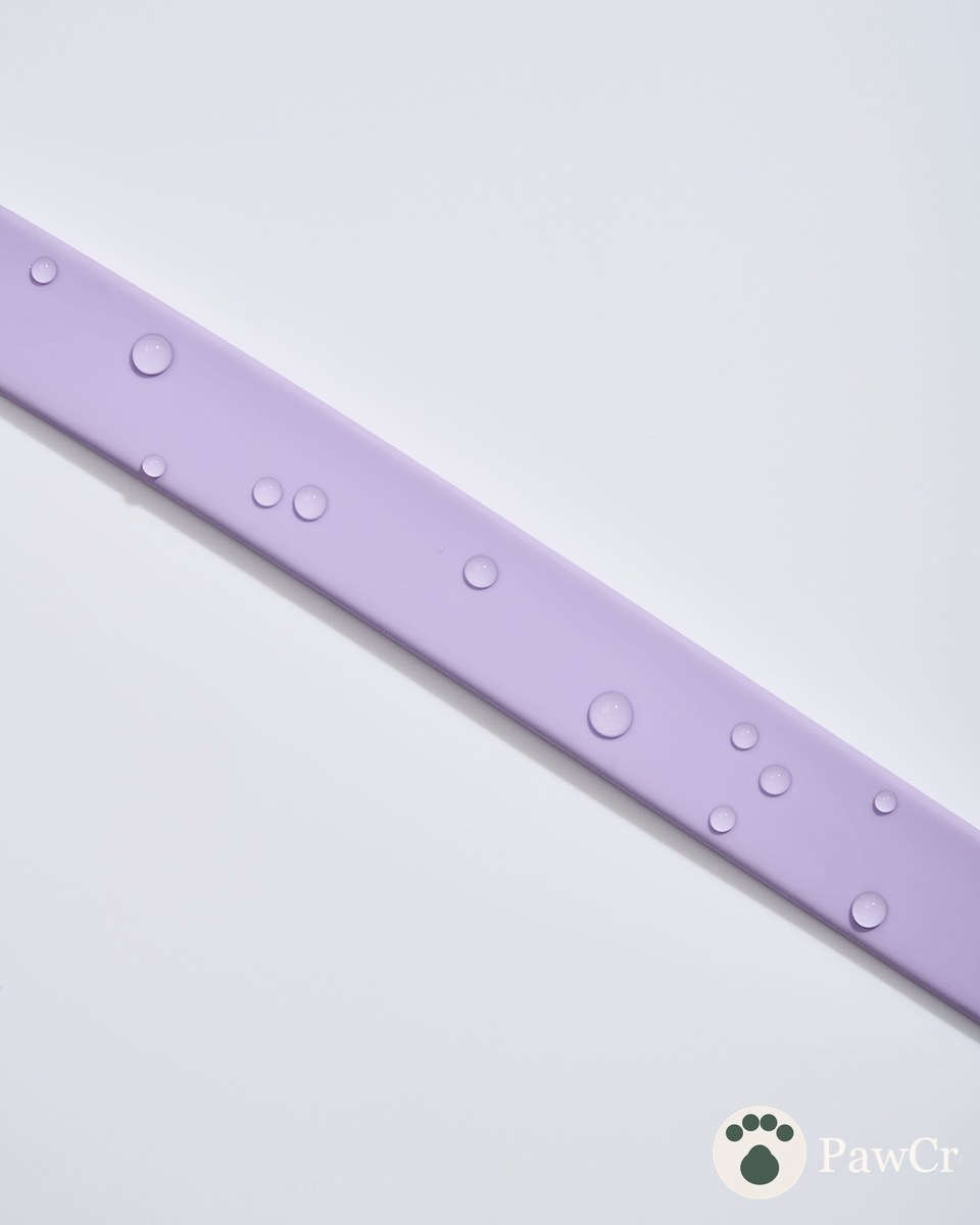 Waterproof Collar + Lightweight Leash Walk Kit - Image 3