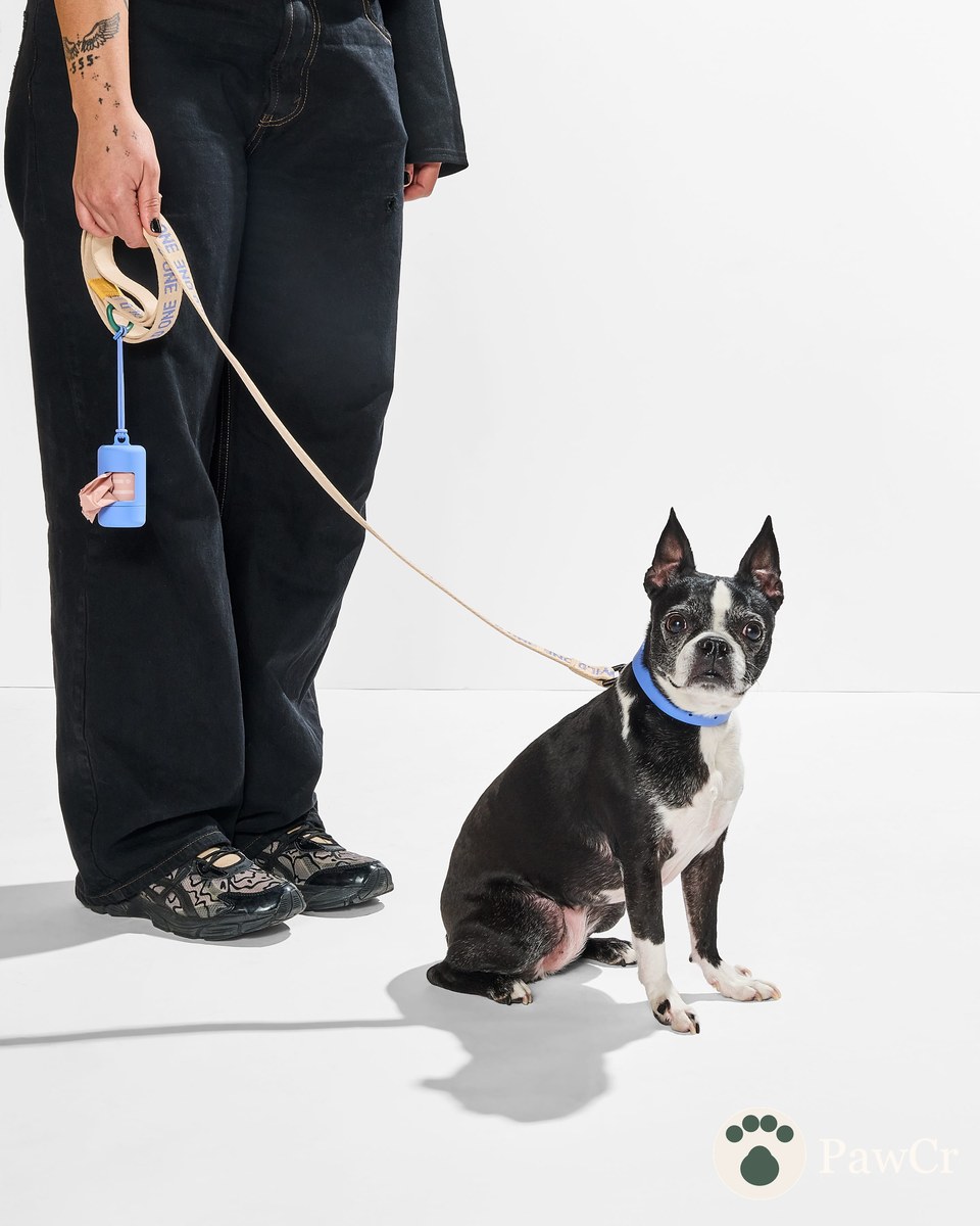 Waterproof Collar + Lightweight Leash Walk Kit - Image 4