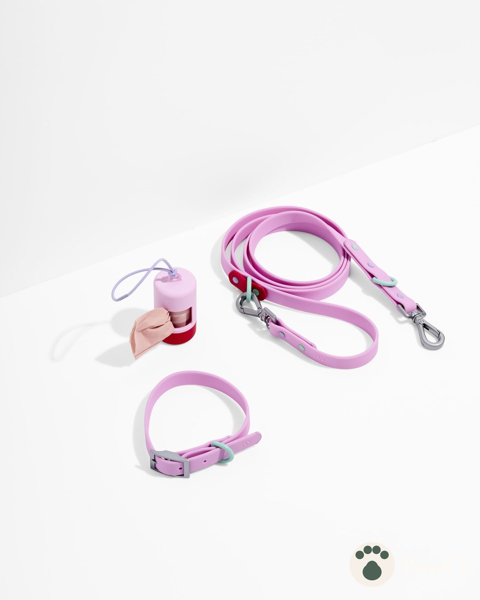 Waterproof Collar + Waterproof Leash Walk Kit - Image 2