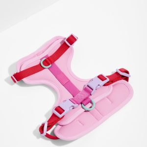 PET-WLK-15-1 Cushioned Dog Harness